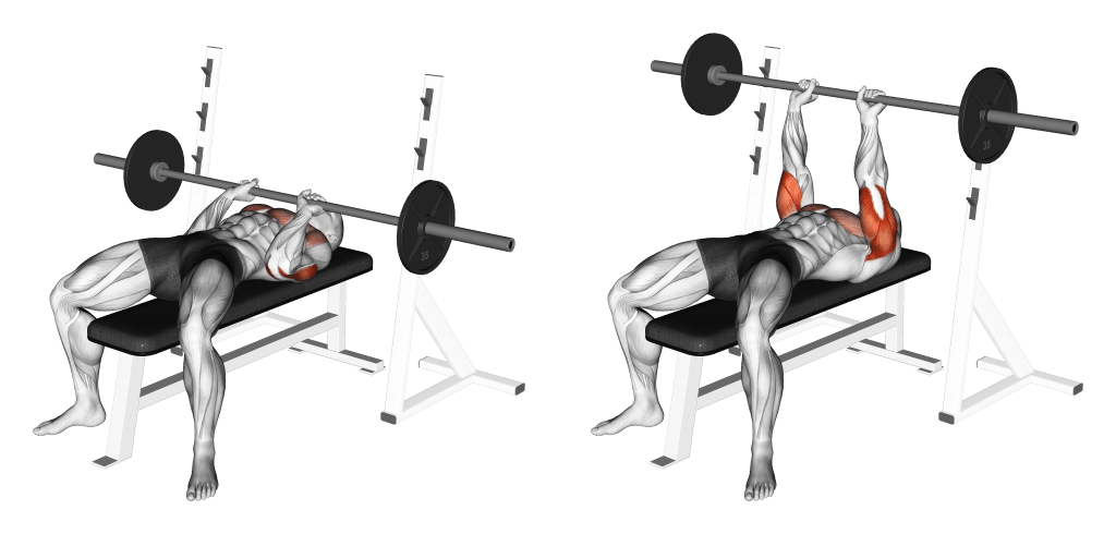 Close Grip Bench Press