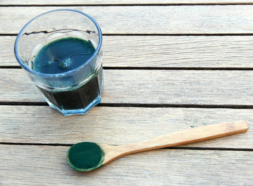 spirulina, seaweed, vegetable proteins