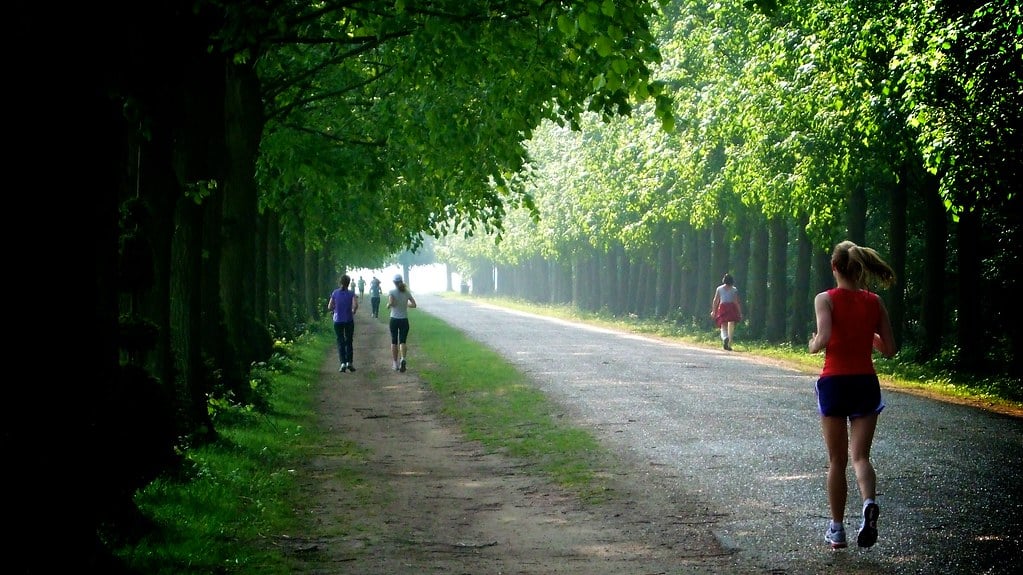 What is the Best Time of Day to Run? Evening 