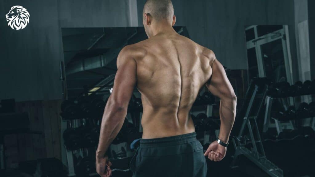 Exercises to Build the V-Taper