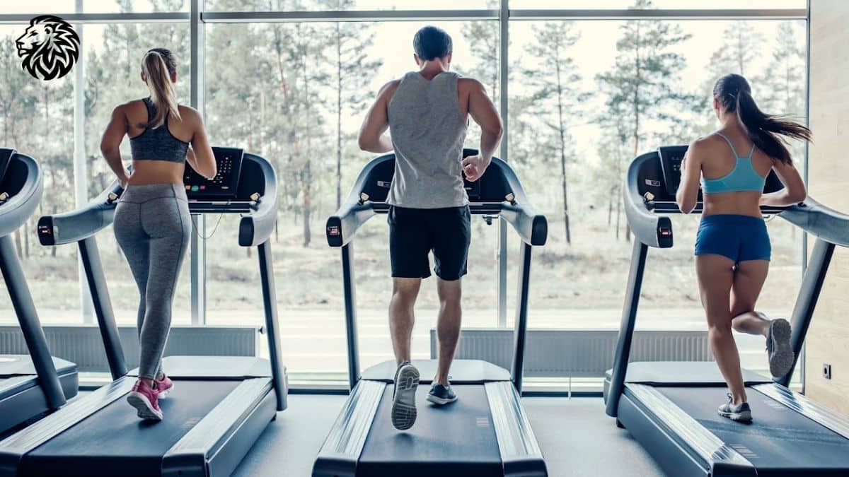 Don’t Neglect Cardio when Building Muscle