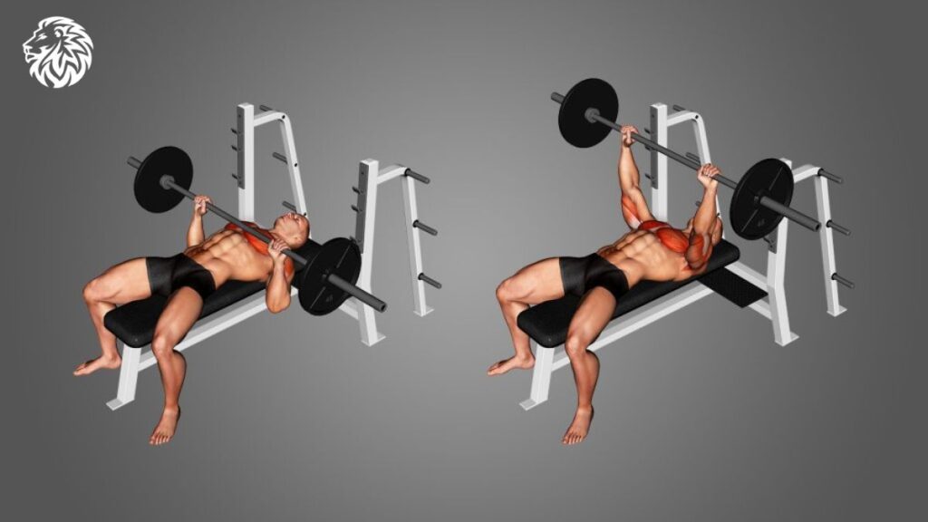 AngryLionFitness.com - Barbell-Bench-Press