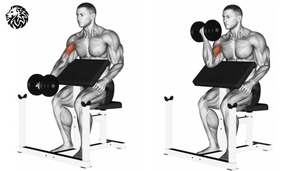 AngryLionFitness.com - Dumbbell Seated Preacher Curl - 01