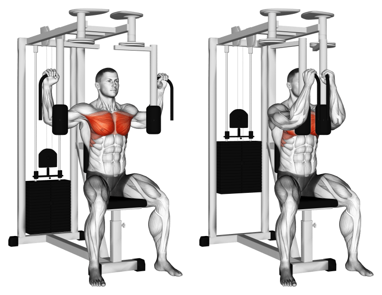 Pec Deck Machine