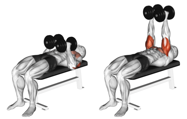 Dumbbell Close Grip Bench Press