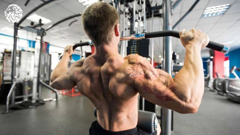 The Best Back Exercise for a Complete Workout