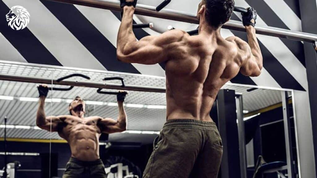 Back and Bicep Workouts for Massive Muscle Growth