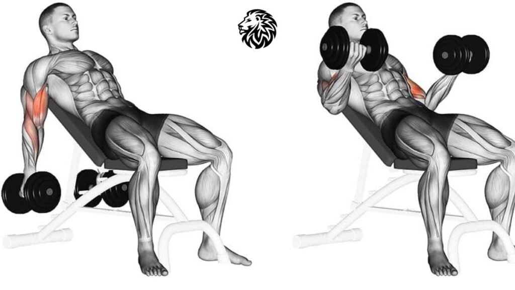 AngryLionFitness.com - Incline Dumbbell Curl - 02