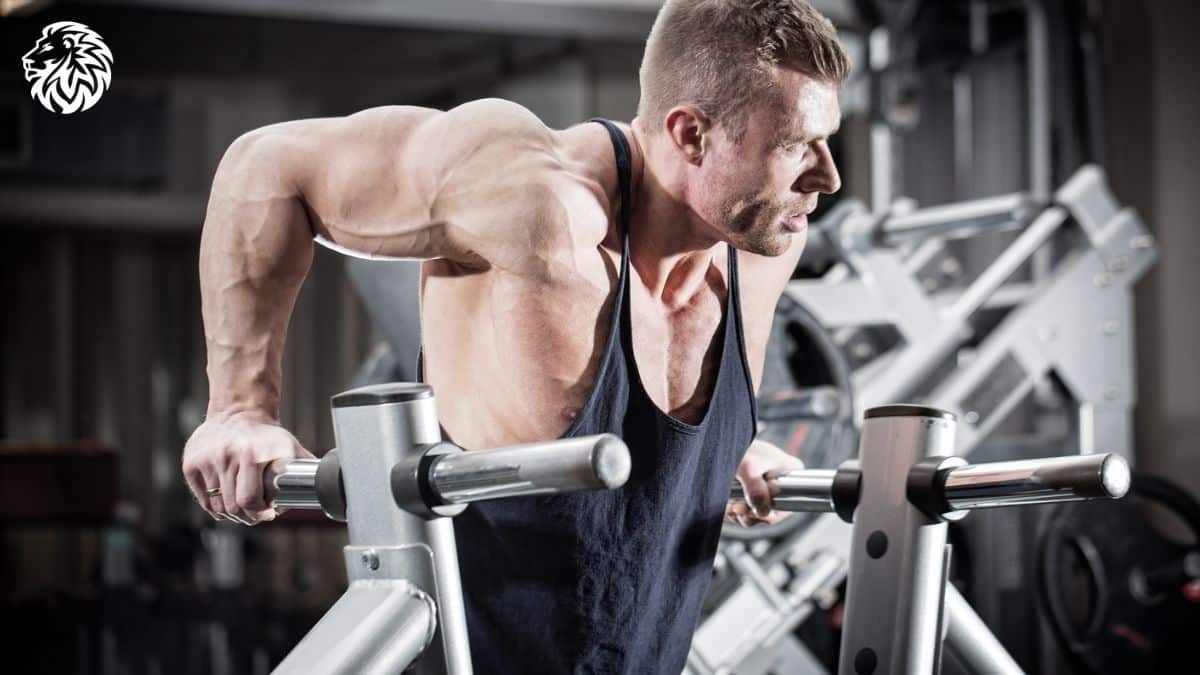 The Best Chest Workout To Build Strength And Size In The Gym