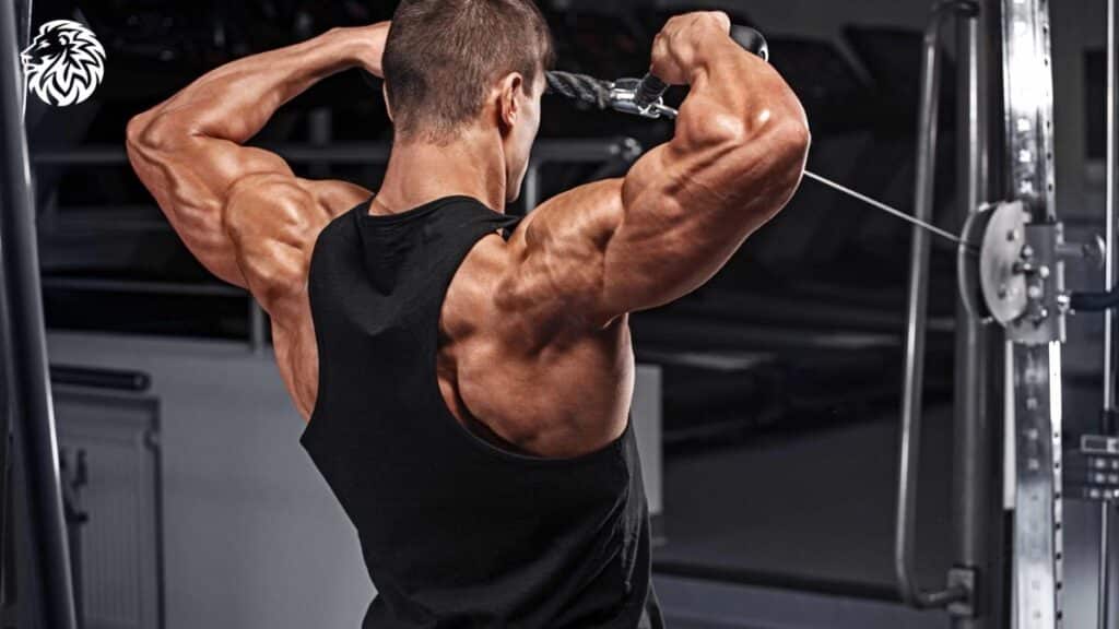 Top 6 Exercises For Better Shoulder Workout