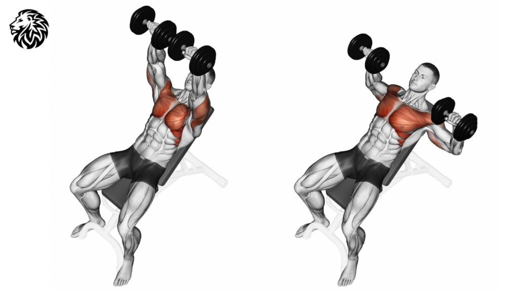 Incline Dumbbell Bench Press