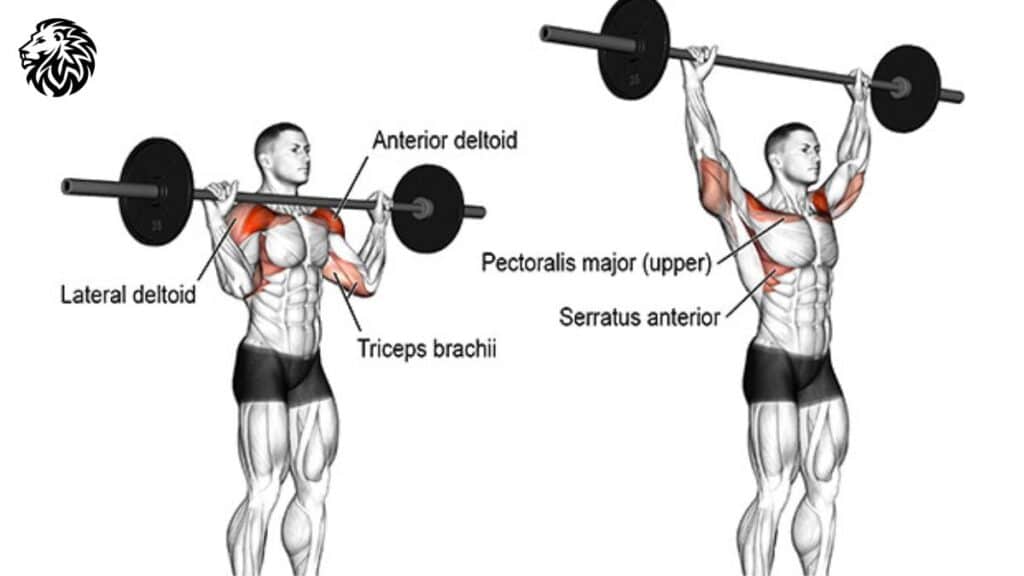 AngryLionFitness.com - Overhead Shoulder Press - 01