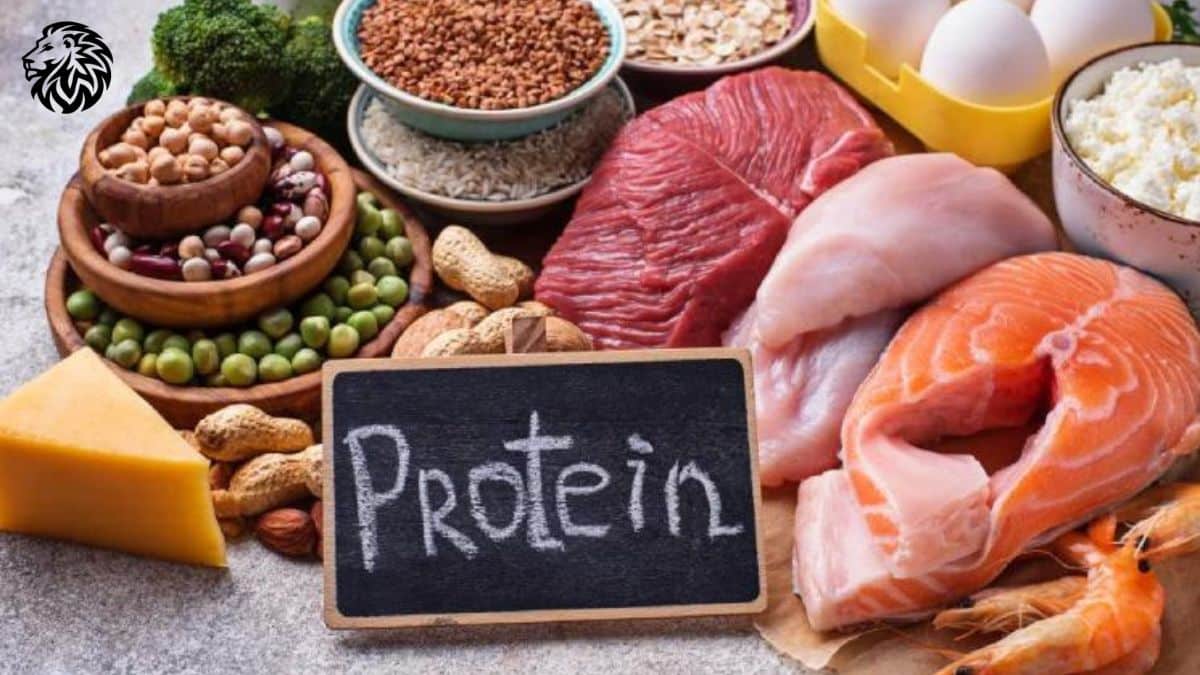 What Are the Top 10 Protein Foods?