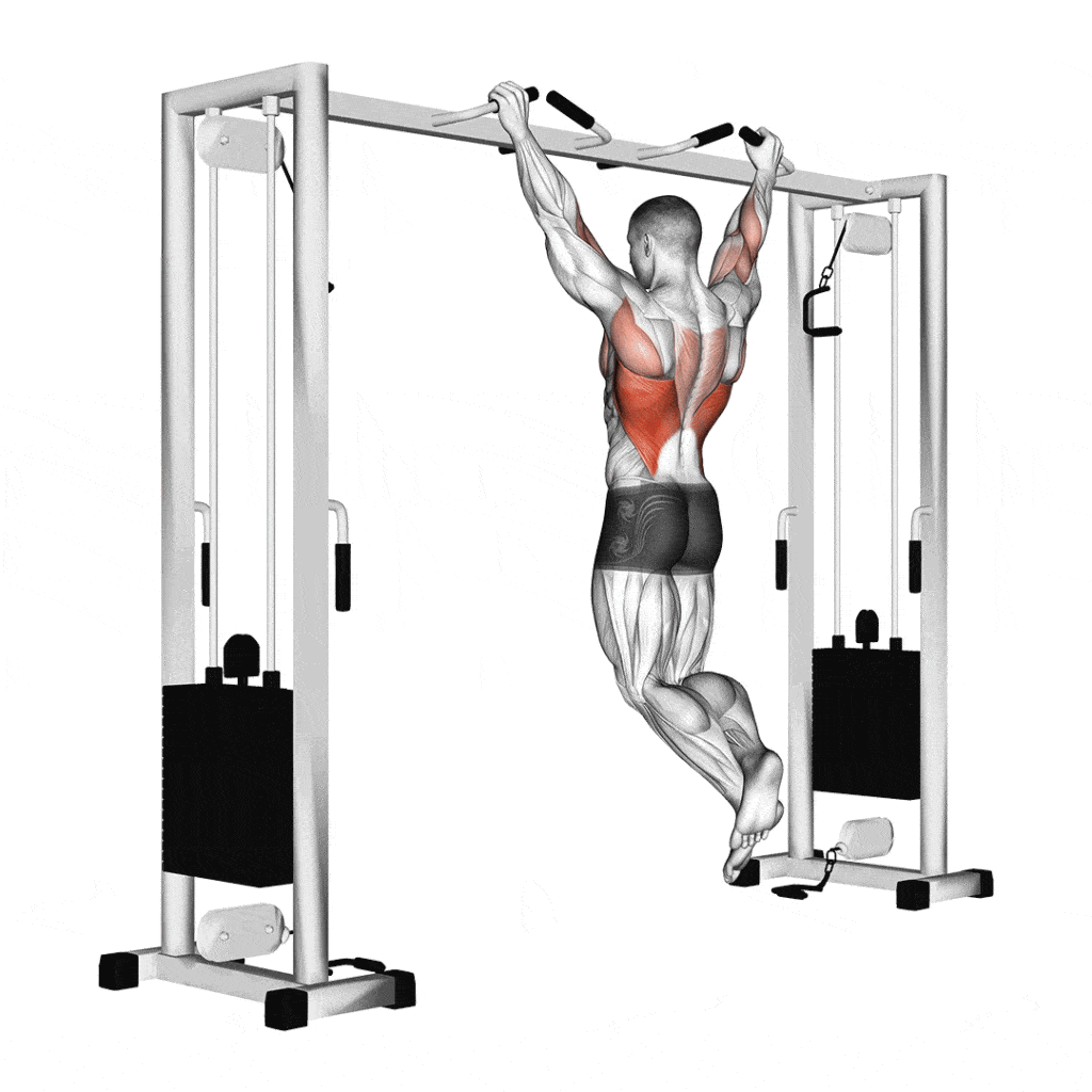 AngryLionFitness.com - pull-up-01