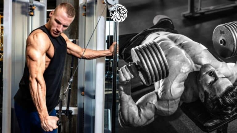 The Best Chest and Triceps Workouts for Building Muscle