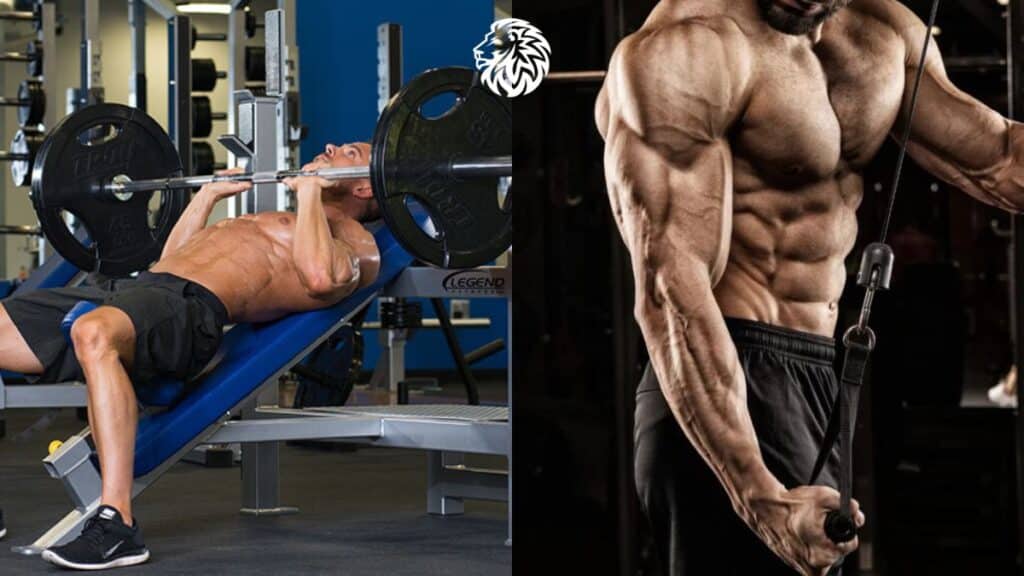 The Best Chest and Triceps Workouts for Building Muscle