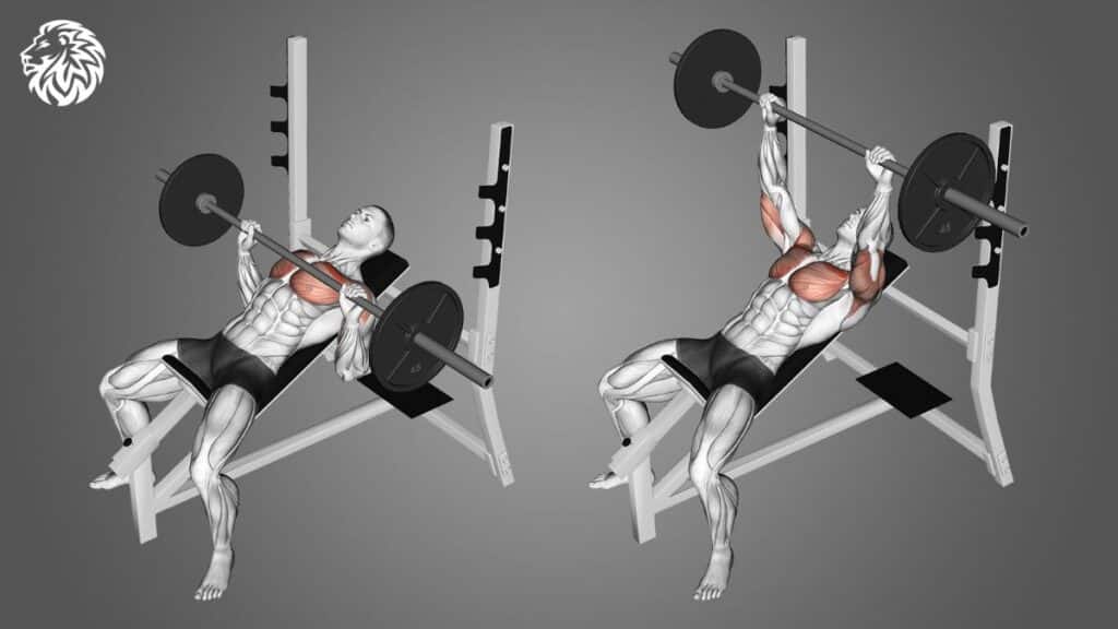 Incline Bench Press