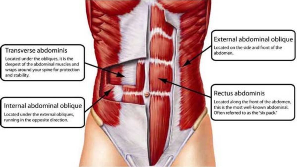 Anatomy of the Core