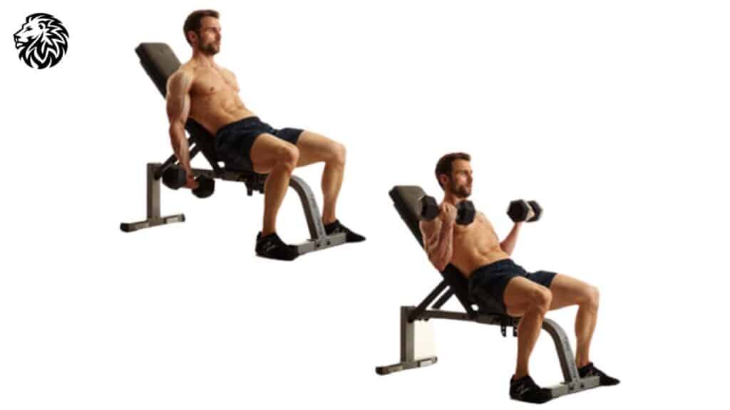 Incline Dumbbell Curls