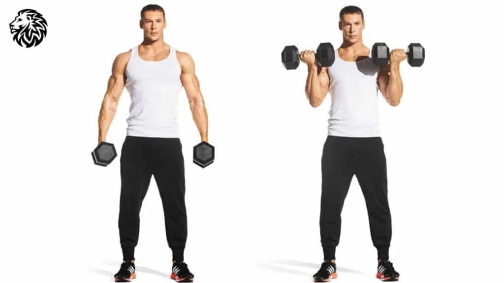 Standing and Seated Dumbbell Curls