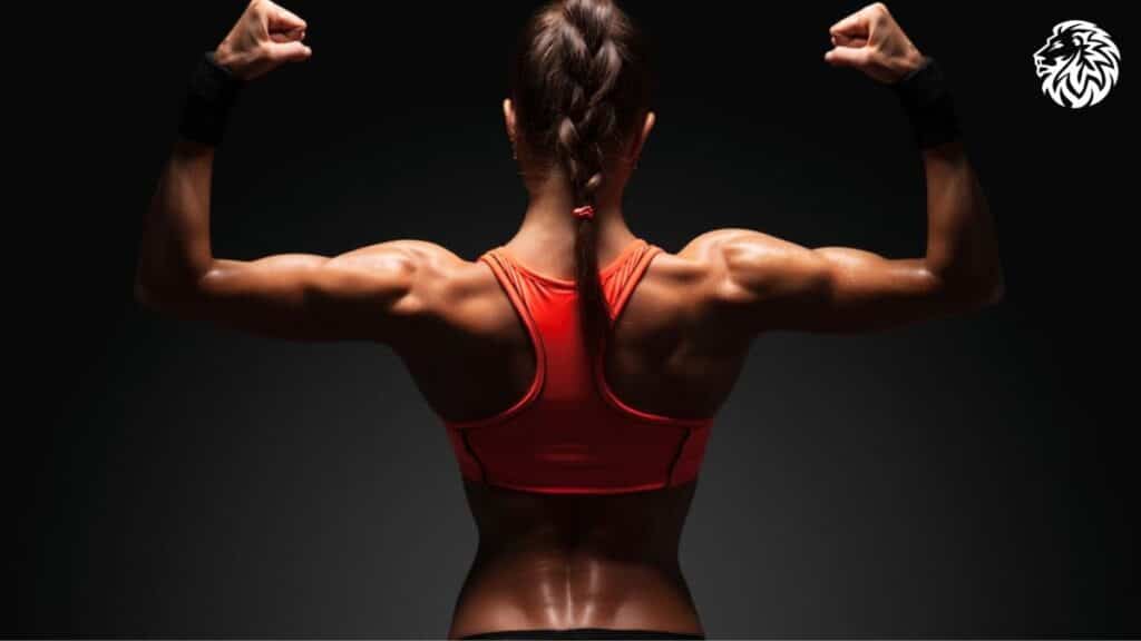 What is the Perfect Shoulder to Waist Ratio? - Angry Lion Fitness