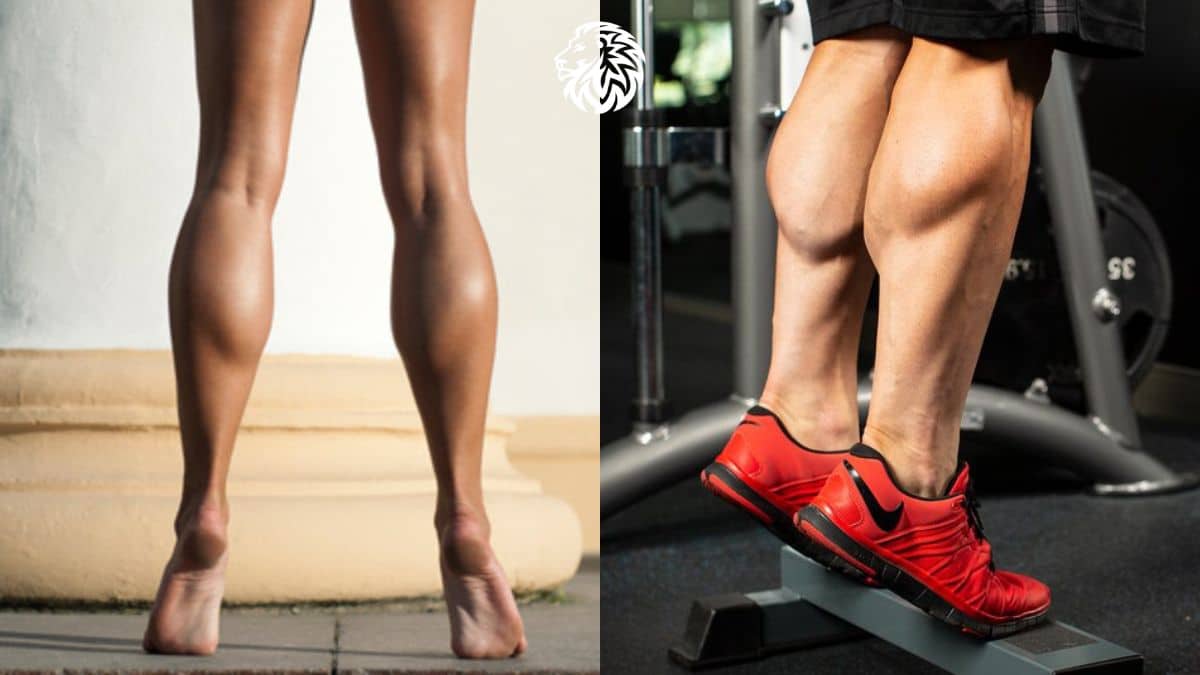 The 5 Best Calf Exercises for Lower Body Support and Power