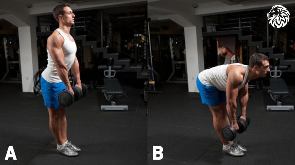 Dumbbell Deadlift