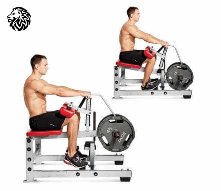 Seated Calf Raises