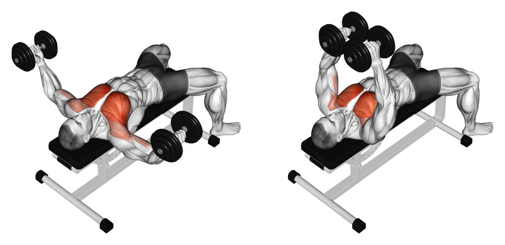 Dumbbell Flyes