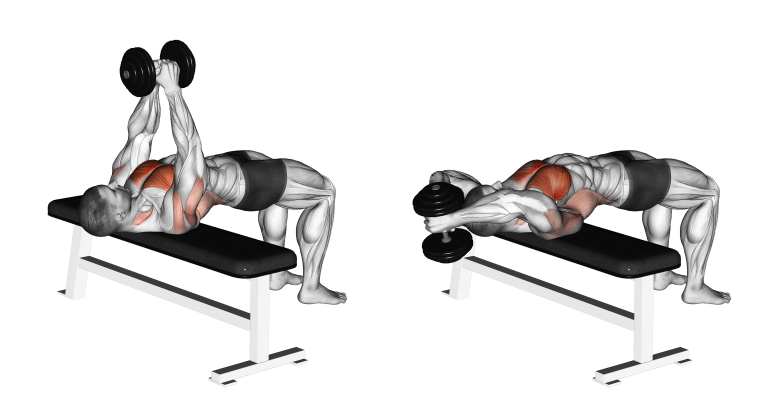 Dumbbell Pullover