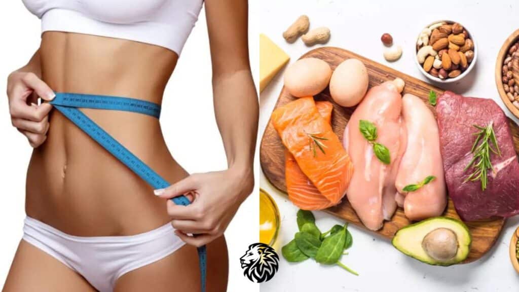 Lose Weight High Protein Diet