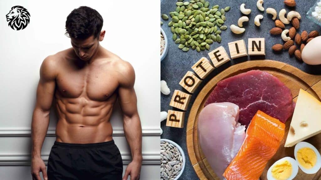 Lose Weight High Protein Diet