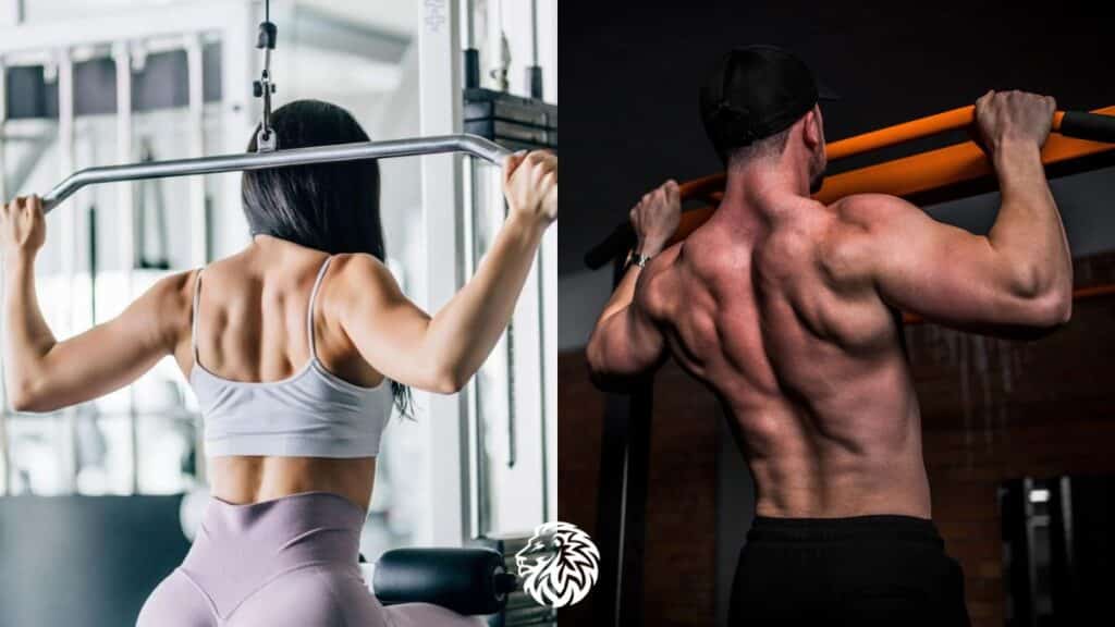 Best Exercises for a Strong Back