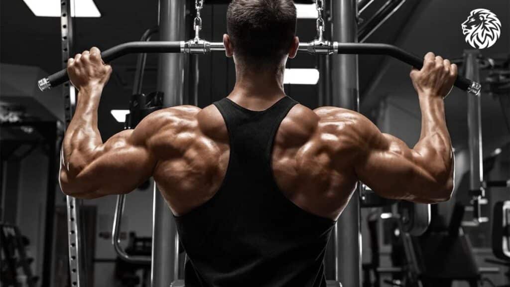 Best Exercises for a Strong Back