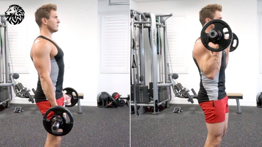 Standing Barbell Curl