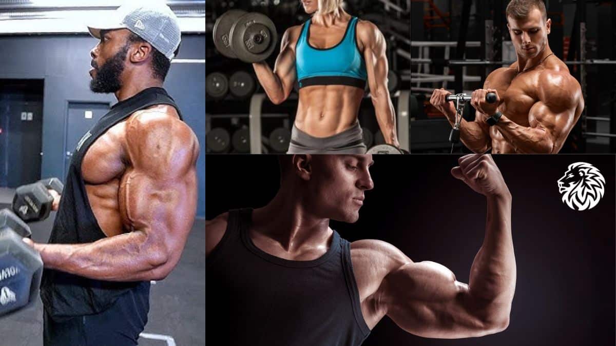 The Biceps Exercises You Need To Get Bigger Biceps