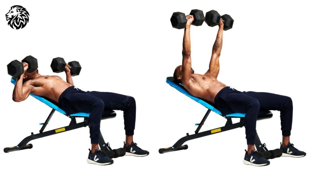 Incline Dumbbell Press