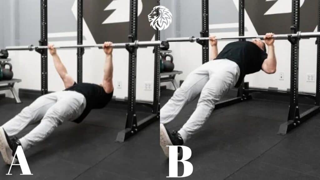 Inverted Rows