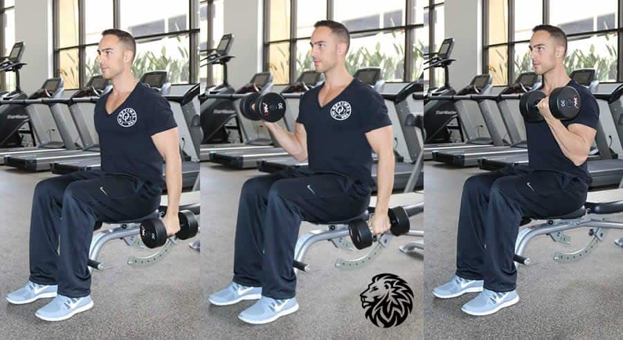 Seated Alternating Dumbbell Curl