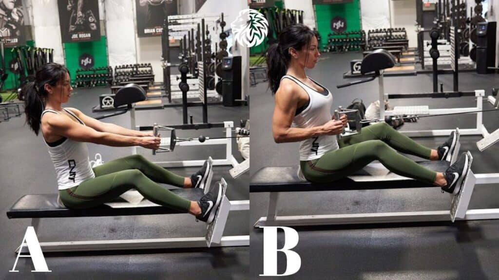 Seated Cable Rows