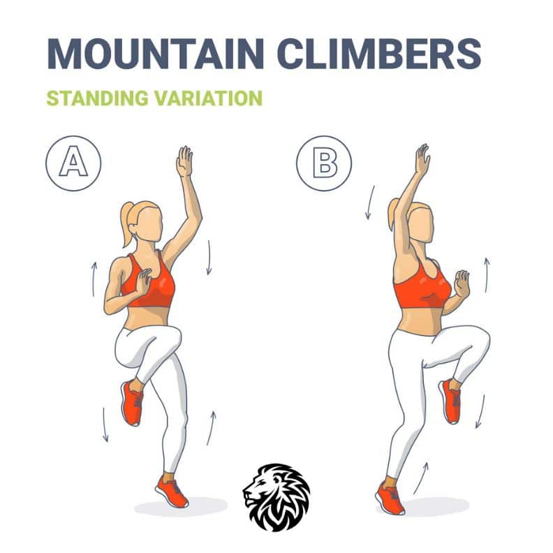 Standing Mountain Climbers