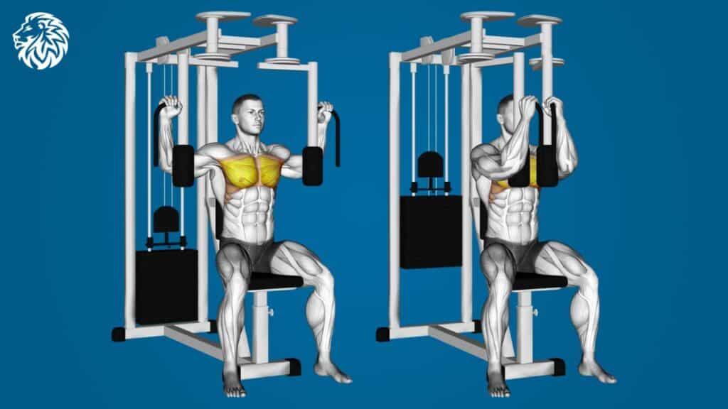 pec deck machine