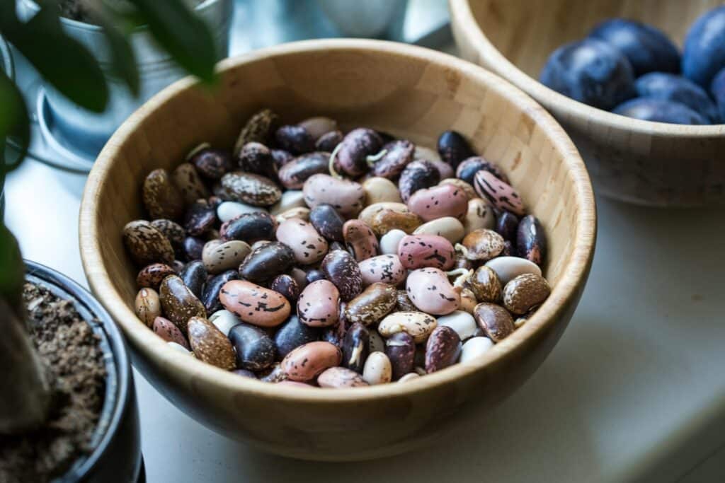 assorted pebbles Legumes and Beans