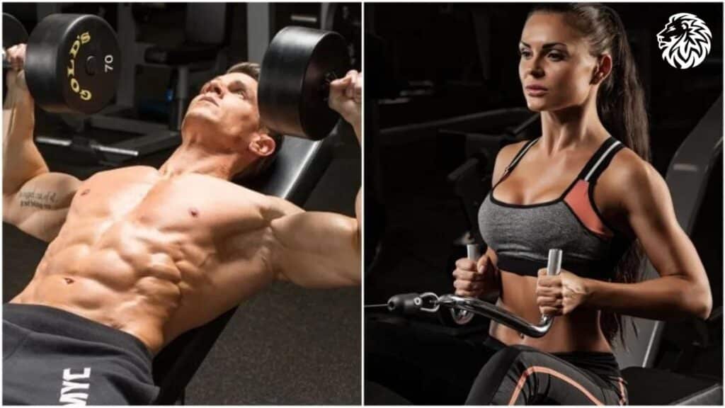 Best Exercises For Building Massive Arms