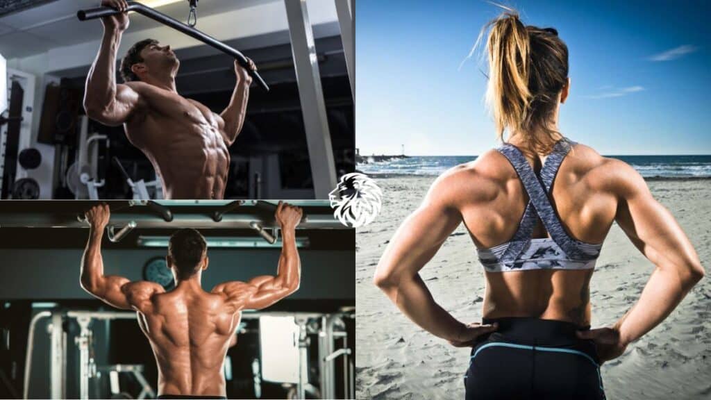 Best Workouts for Your Back