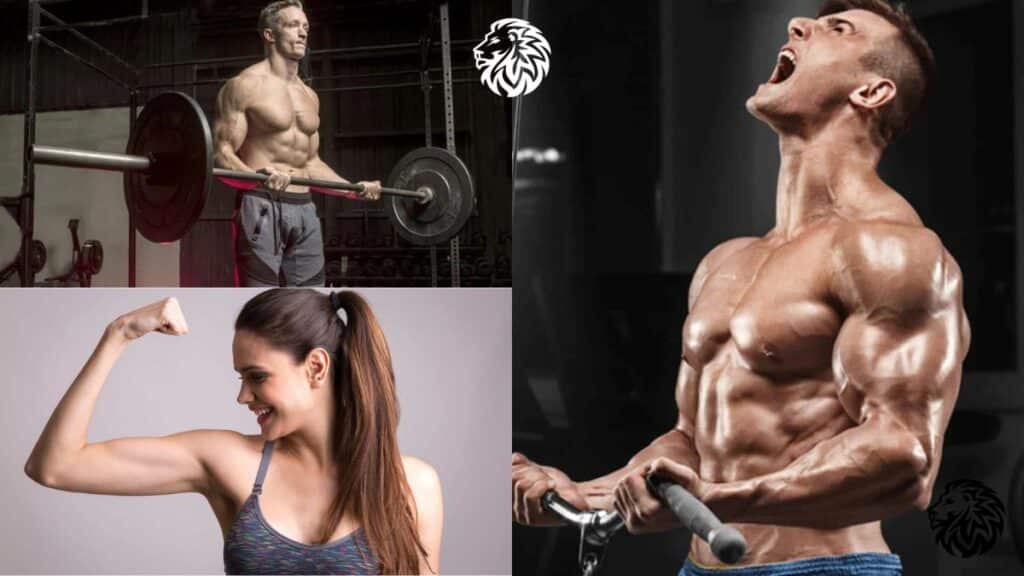 Best Bicep Exercises