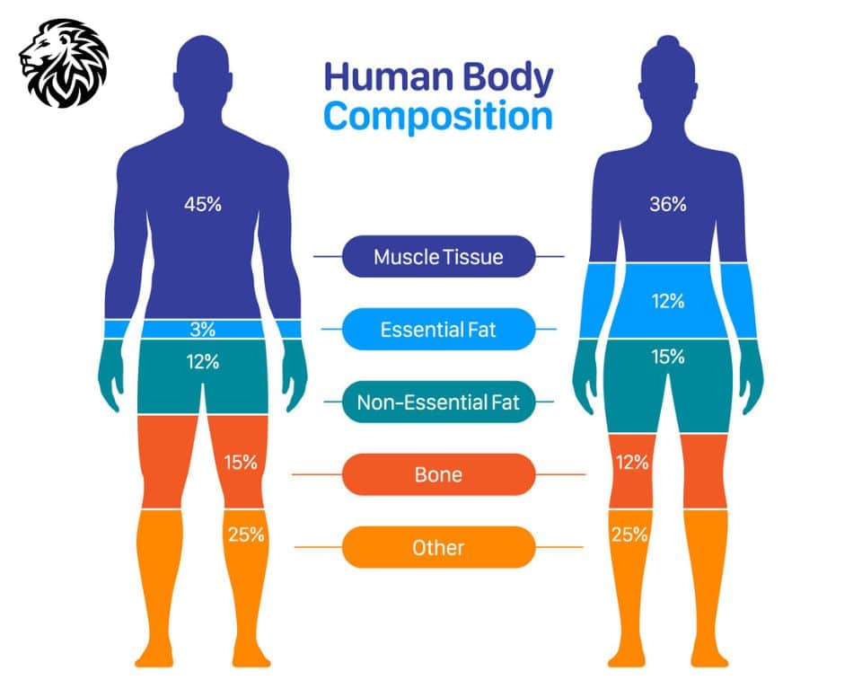 Body Composition