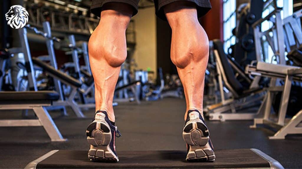 Best Calf Exercises to Bulk Up Skinny Legs