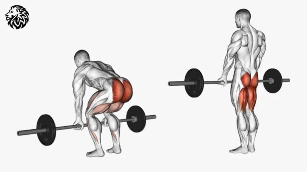 Deadlifts