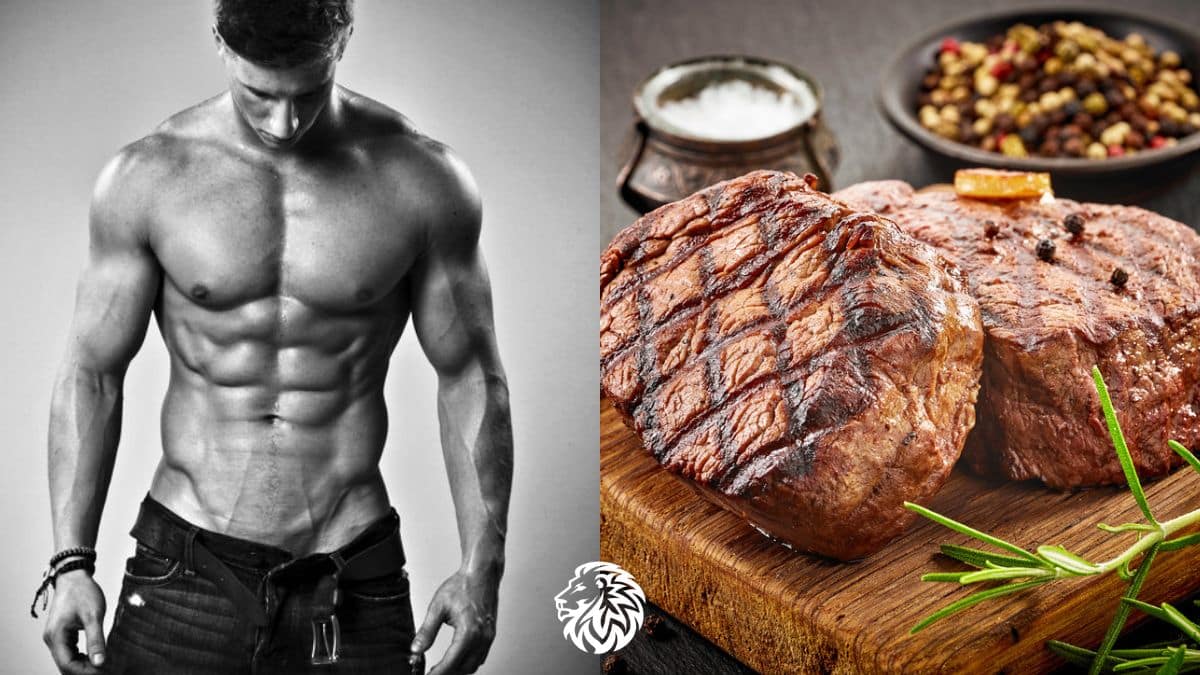 How Long Should Bulking and Cutting Cycles Be? - Angry Lion Fitness